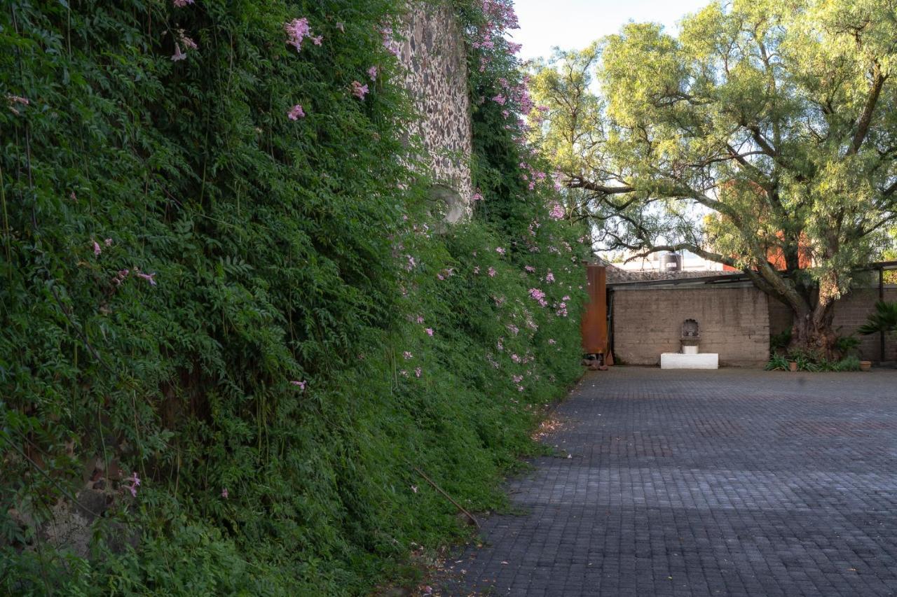 Posada Colibri - Hotel & Spa San Juan Teotihuacán Dış mekan fotoğraf