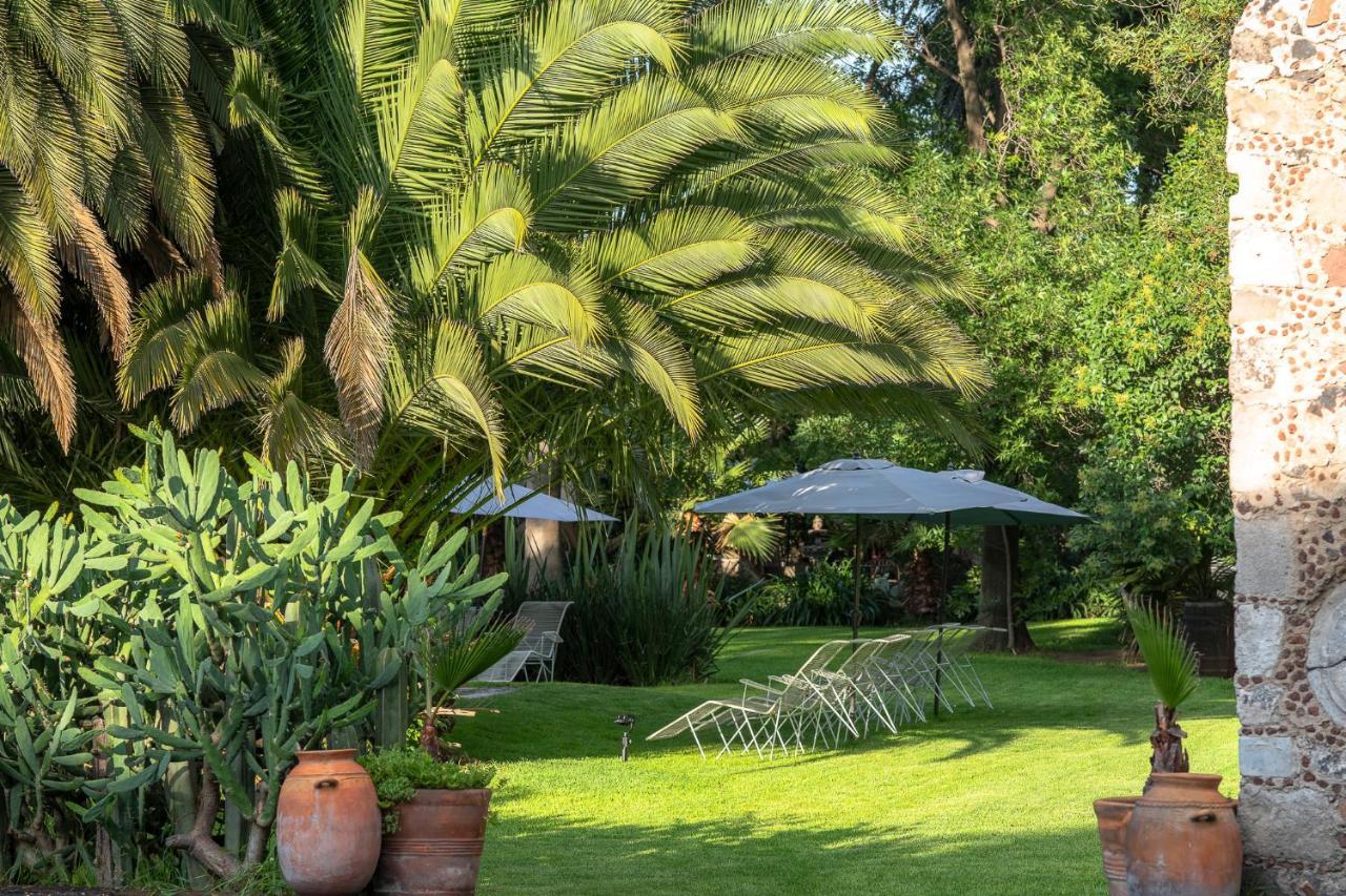 Posada Colibri - Hotel & Spa San Juan Teotihuacán Dış mekan fotoğraf