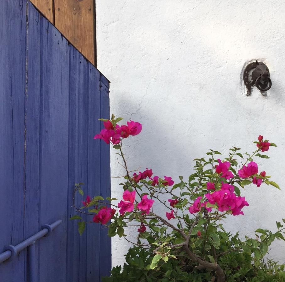 Posada Colibri - Hotel & Spa San Juan Teotihuacán Dış mekan fotoğraf