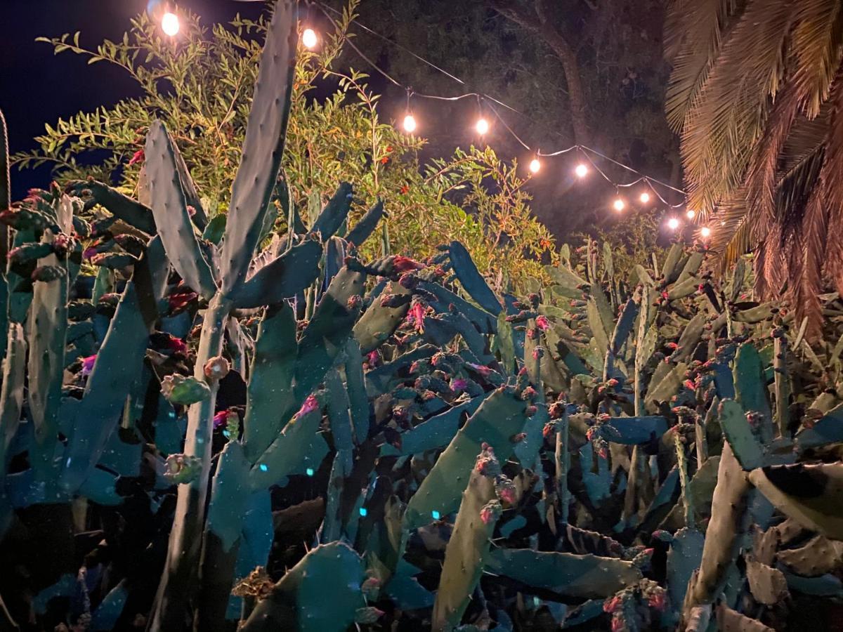 Posada Colibri - Hotel & Spa San Juan Teotihuacán Dış mekan fotoğraf